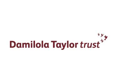 Damilola Taylor Trust